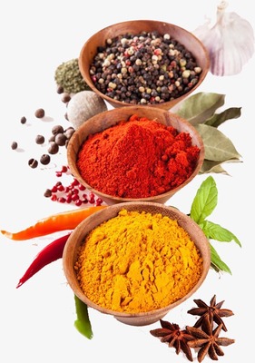 佐料 烹饪中的灵魂元素