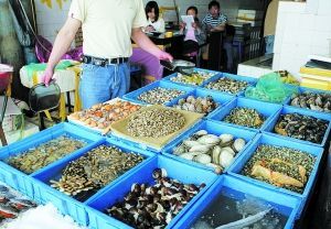 警惕蚶类水产品安全隐患 甲肝等病毒风险不容忽视