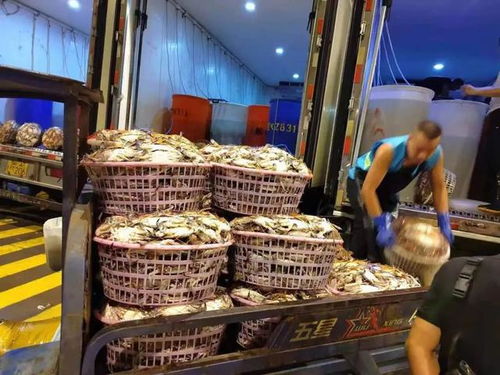 价格突然大跳水，浙江鲜肉批发市场遭遇销售困境